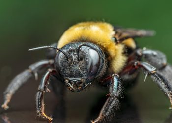 fine-tuning prompts for specific ai outputs