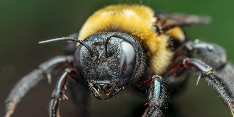 fine-tuning prompts for specific ai outputs