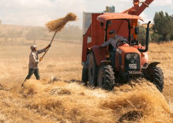 global workforce disruption