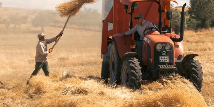 global workforce constraints